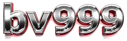bv999 logo